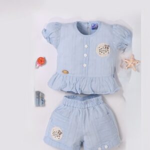 Toddler Girl Blue Outfit –Embroidered Top & Shorts(12M -22M)
